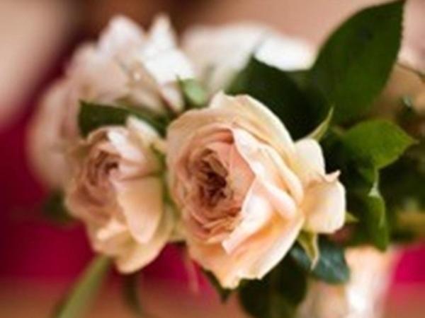 Knole B&B Севъноукс Екстериор снимка